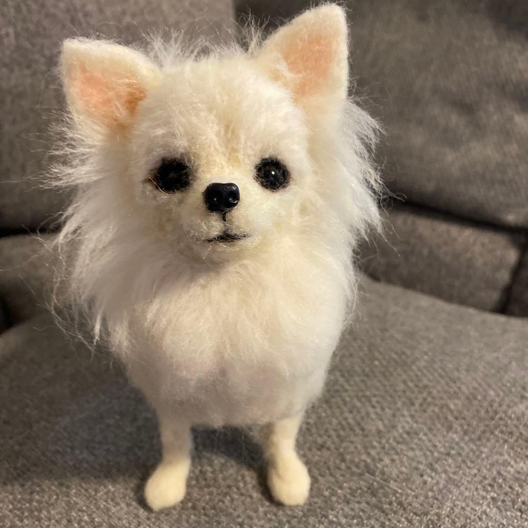 羊毛フェルト　チワワ　犬
