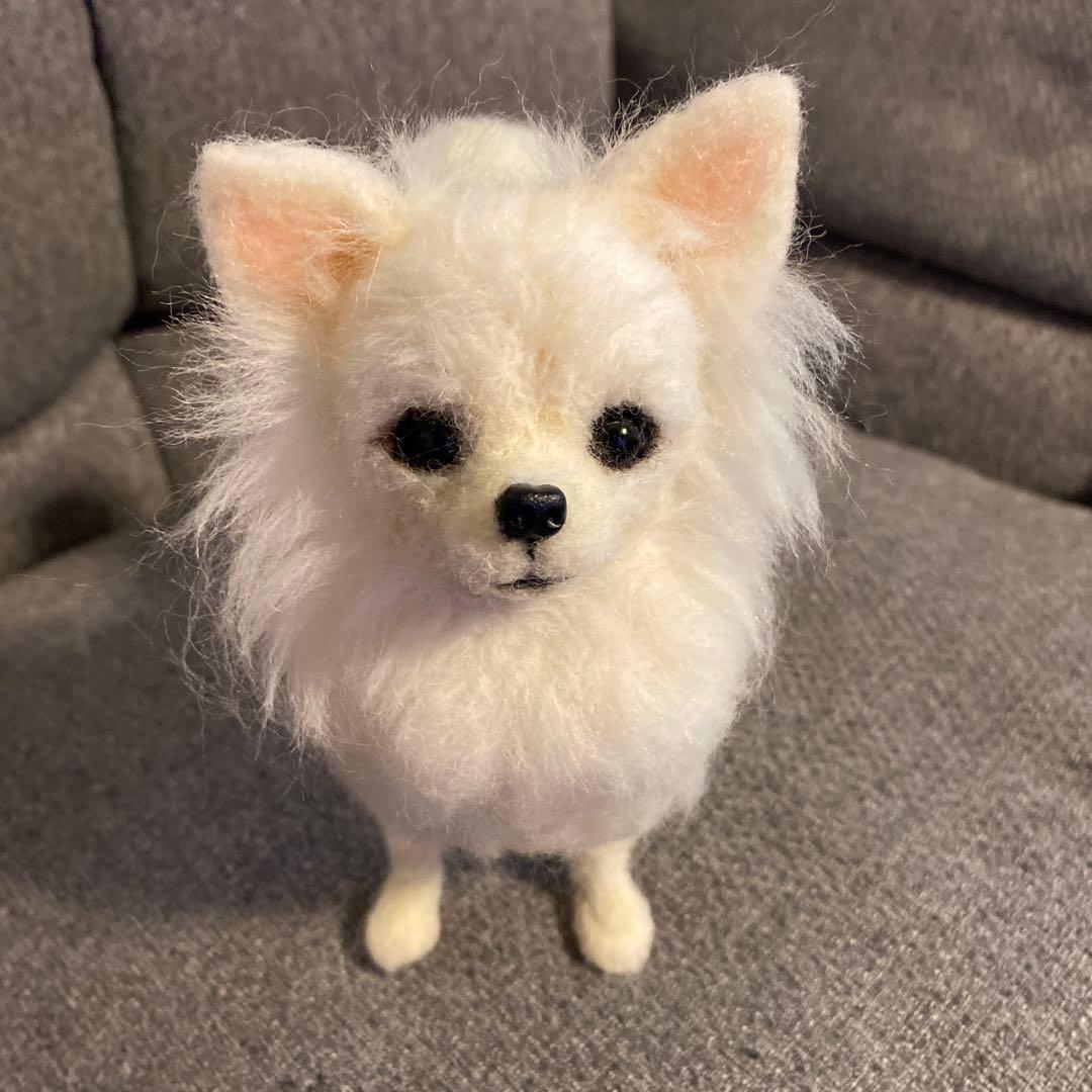 羊毛フェルト　チワワ　犬