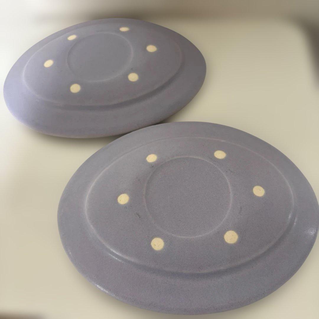 Awabi ware オーバル皿M アワビウェア 岡本純一