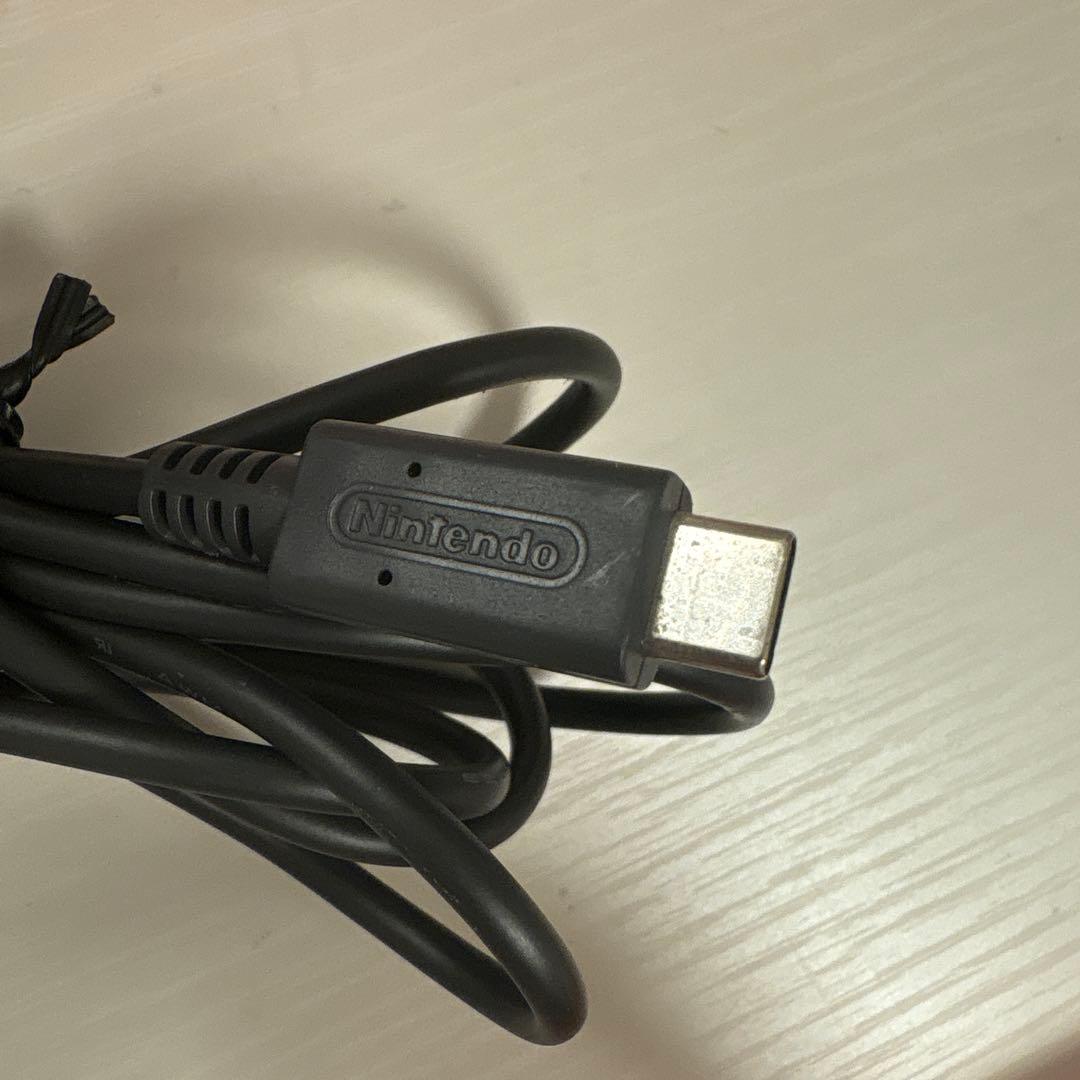 Nintendo Switch Lite コーラルピンク 充電器付き