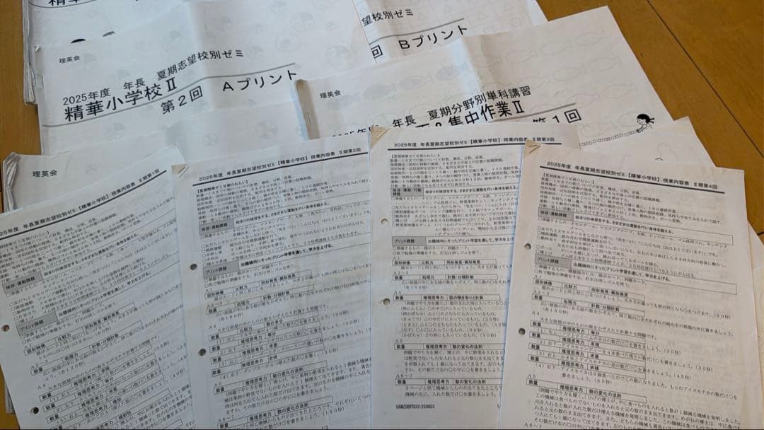 （イチゴラバー）精華ゼミ年長7月、夏期講習、秋季講習