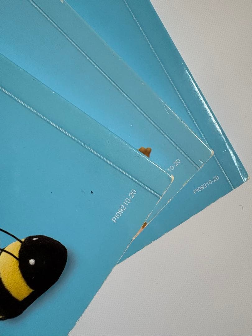 最新版プレイアロング　ブルーレイ　ディズニー英語システム DWE Blu-ray