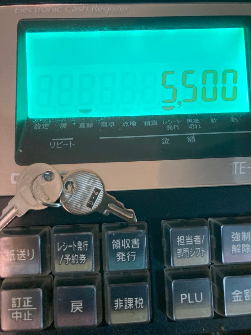 CASIO カシオ　TE-300 電子レジスター 取扱説明書付き