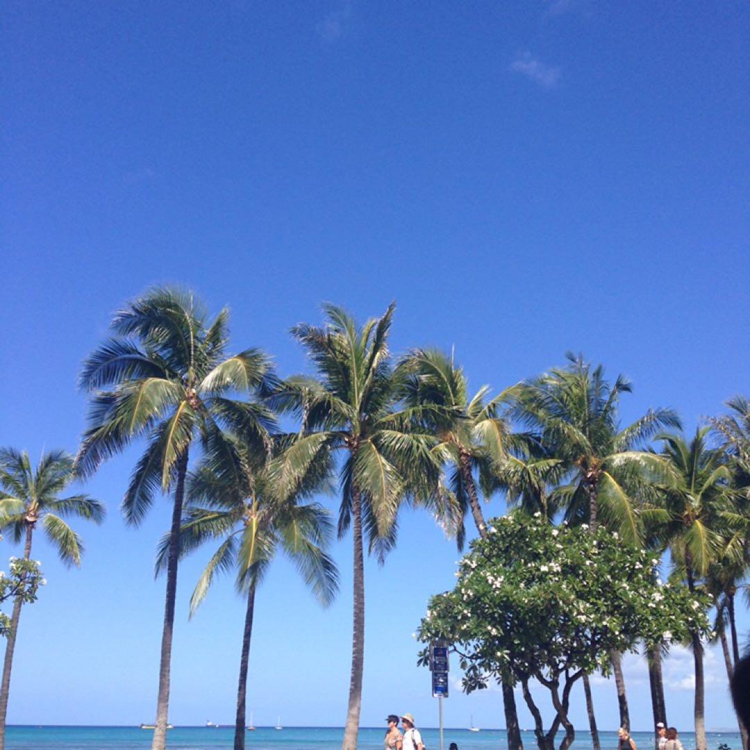 エルベシャプリエ◉701GP◉リュクス舟型トートS◉マスティック×イヴォワール