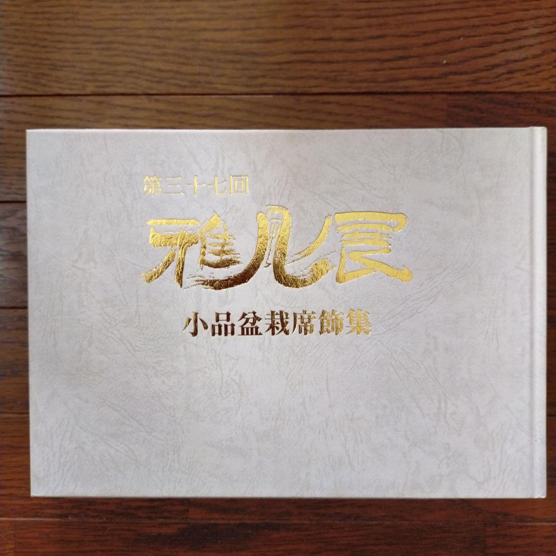 雅風展