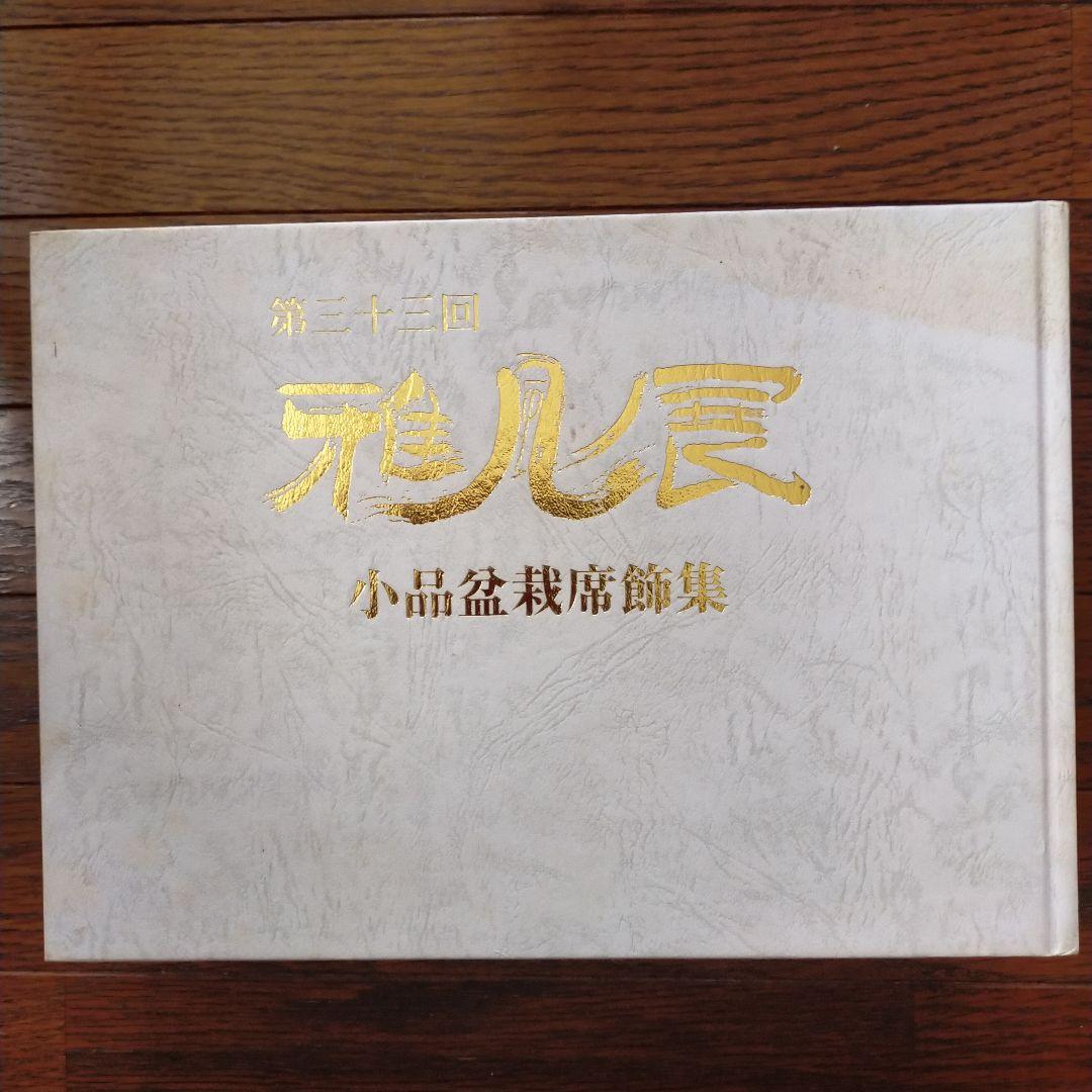 雅風展