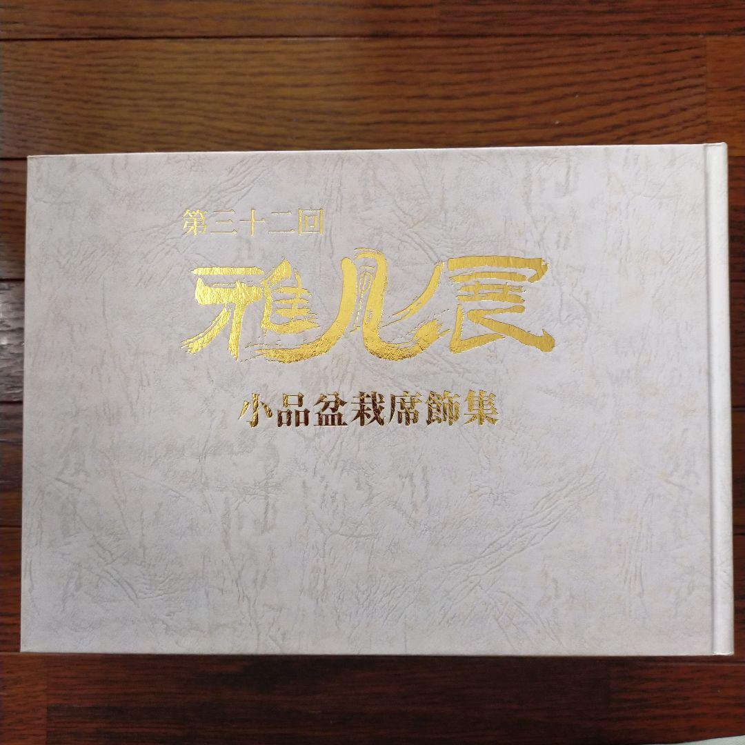 雅風展