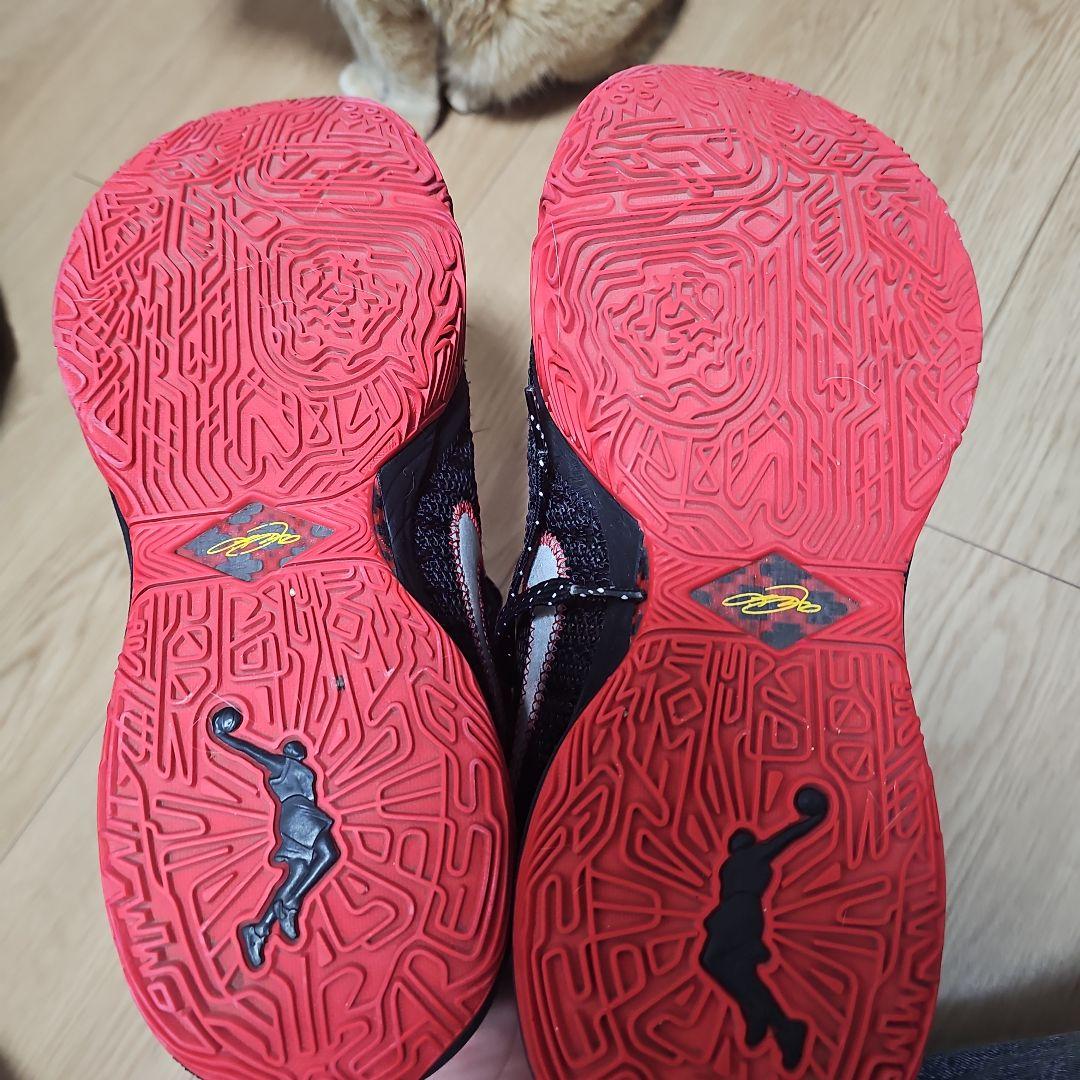 NIKE レブロン20