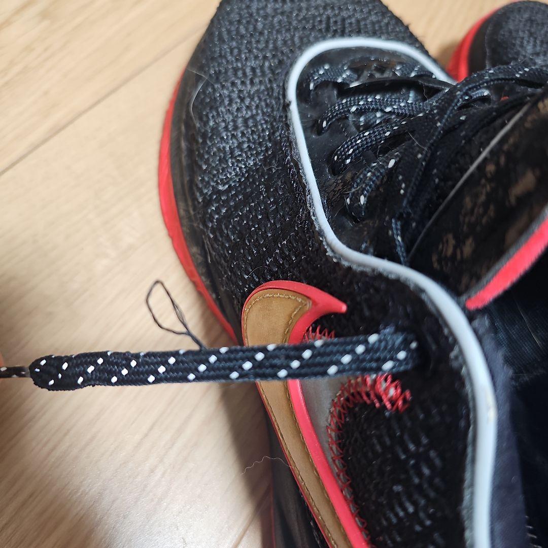 NIKE レブロン20