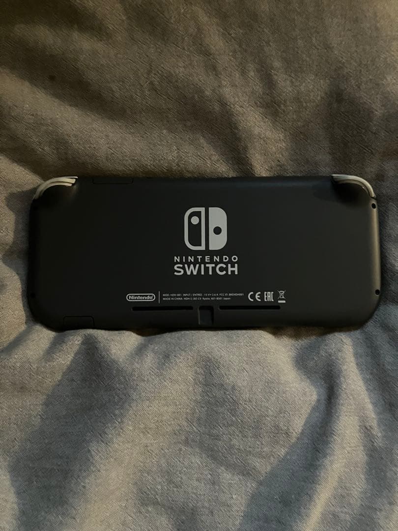 【美品】 Nintendo Switch Lite 本体 グレー ケース付き