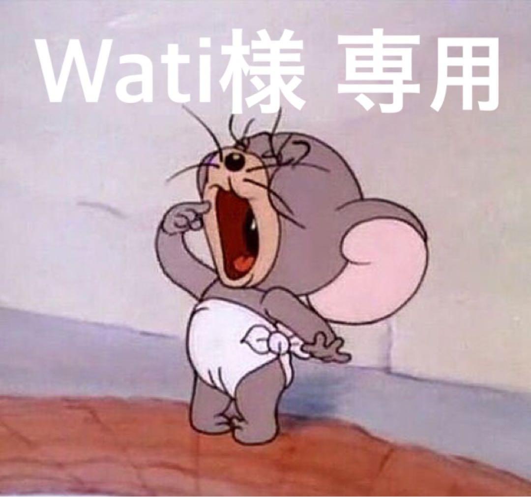 Watiページ
