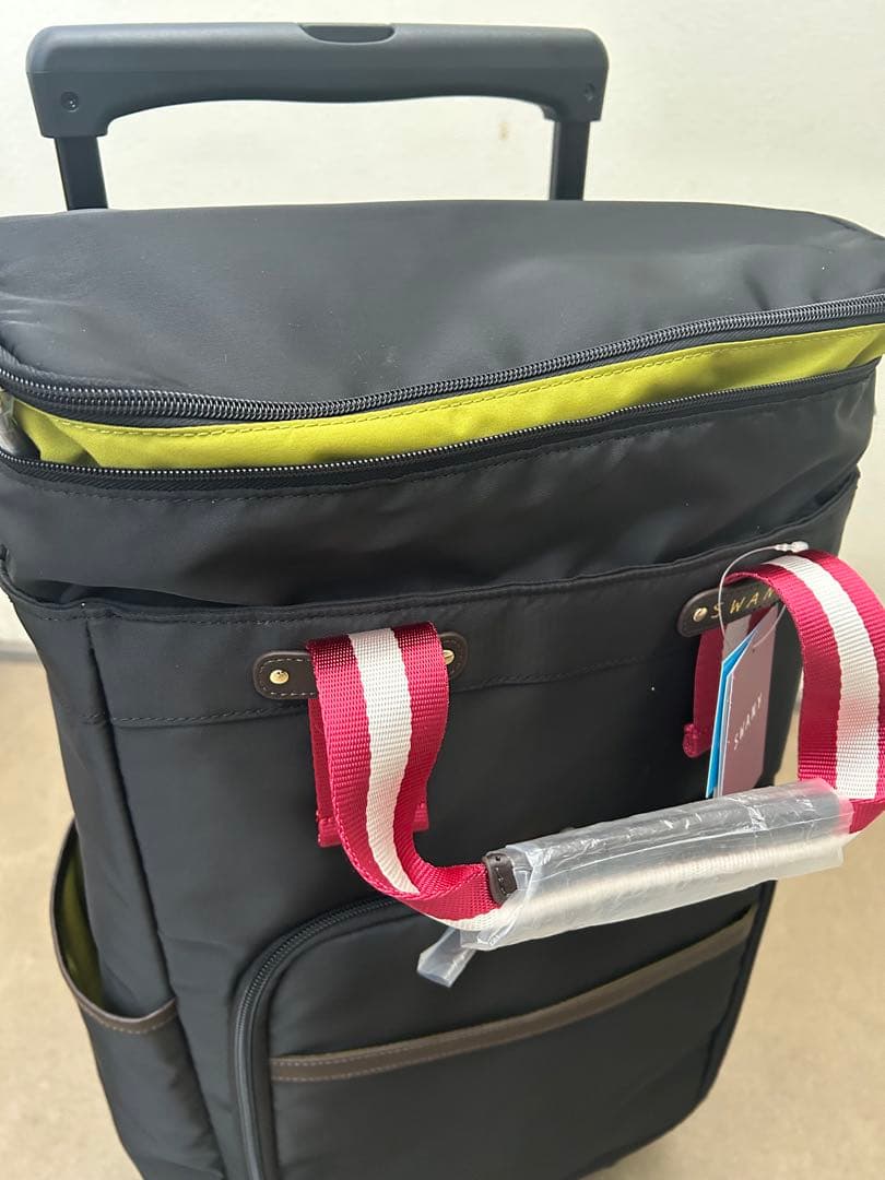 スワニーキャリーバッグイス付き