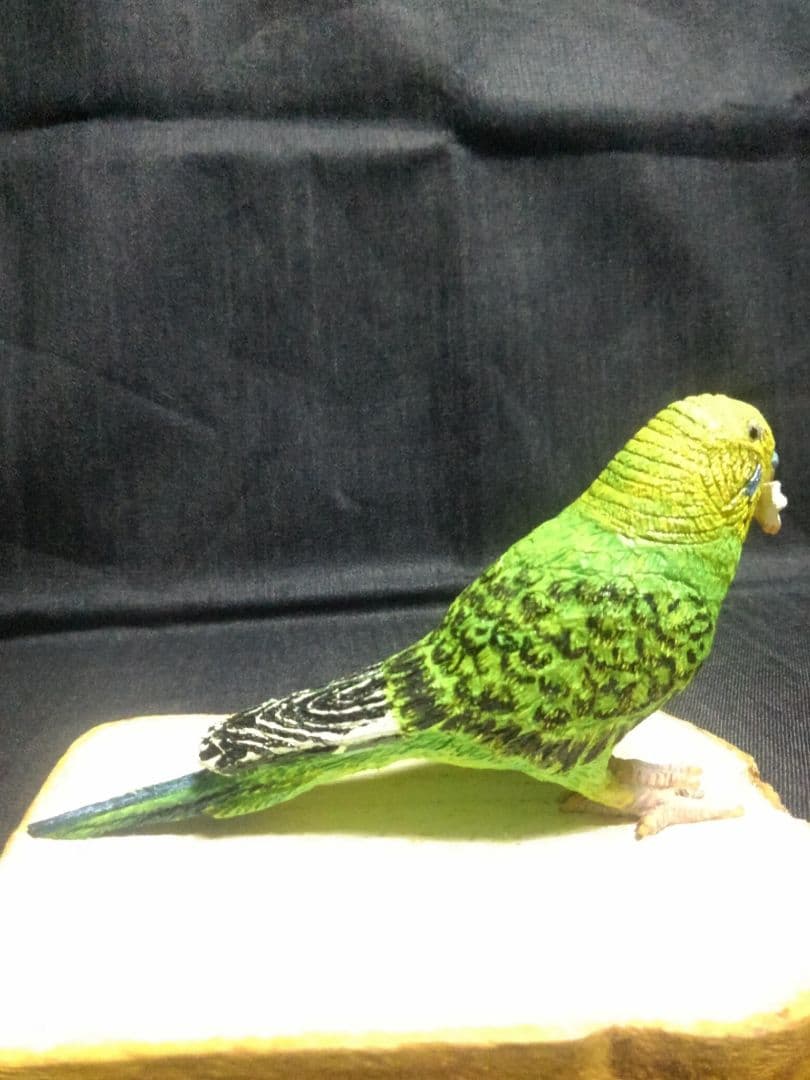 実物大 木彫りのセキセイインコ
