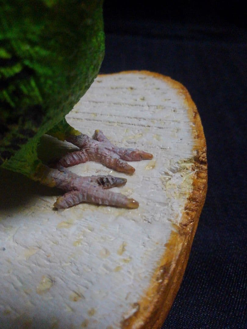 実物大 木彫りのセキセイインコ