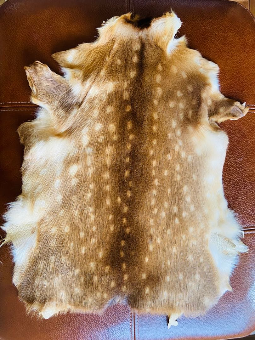 鹿皮 ラグ 毛皮