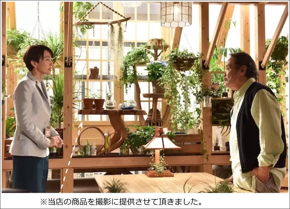 在庫処分 １点もの 木製 テーブル チーク材 天然木 一枚板 切り株 根 B-6