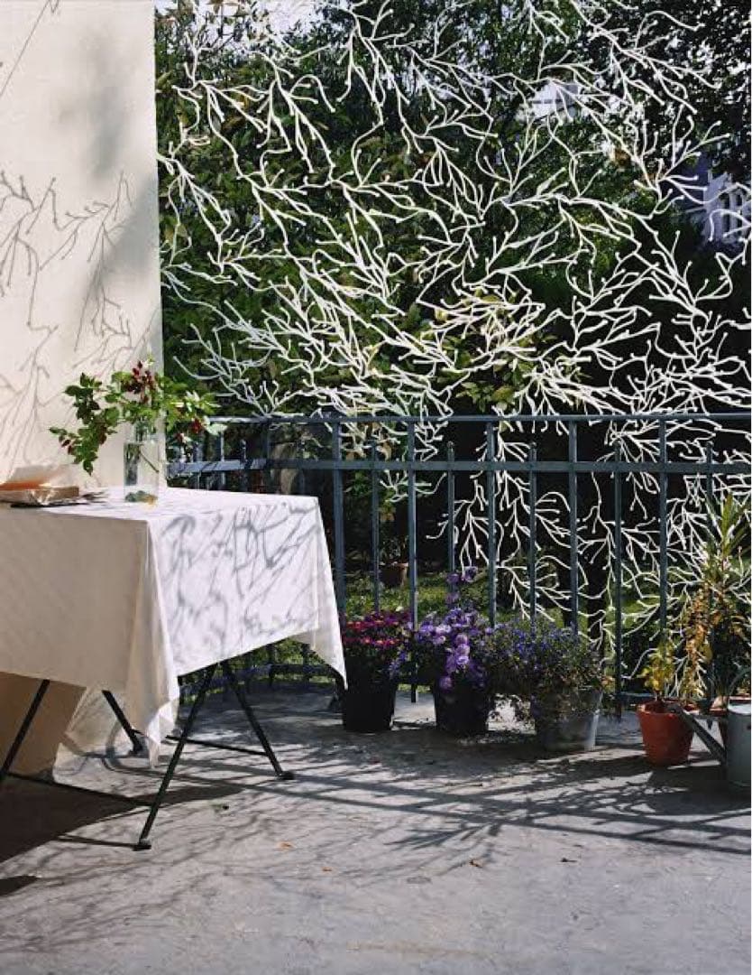 アルギュ　ヴィトラ　algue vitra 白 27本