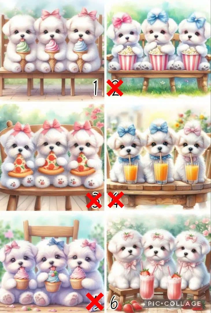 5/26 マルチーズ パネル ハンドメイド