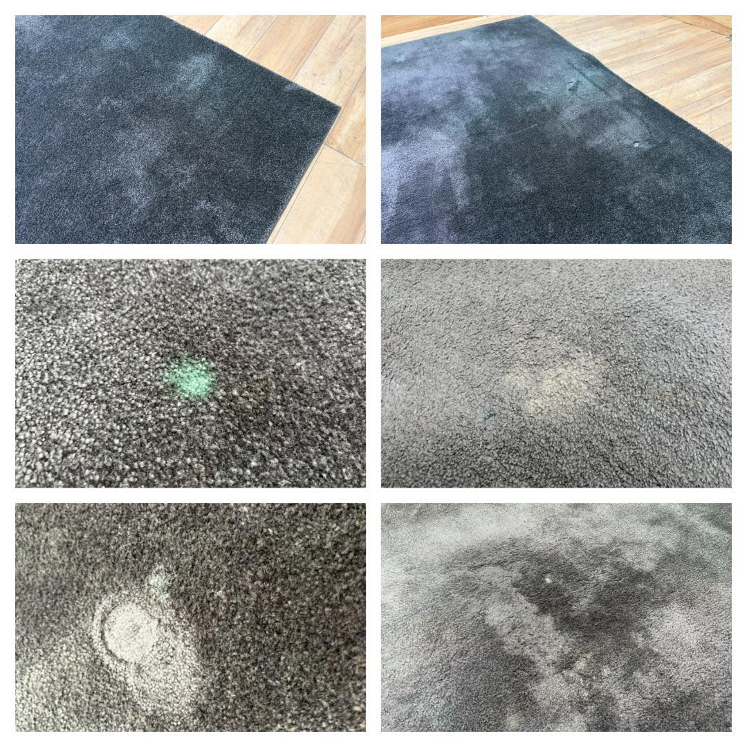 T8027☆JABジャブ☆DIVA☆マスターウォール☆ACTUS☆ラグカーペット