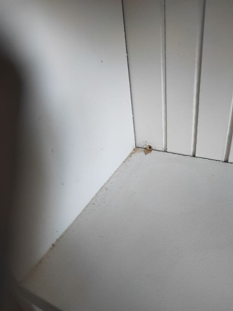 フレンチキャビネット フランスアンティーク イギリス shabbychic