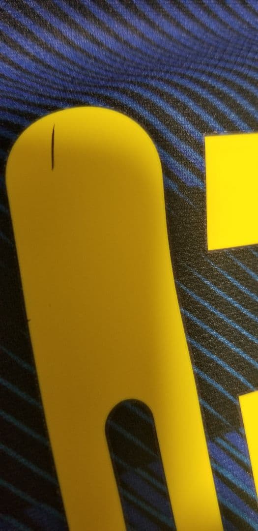 長友　イカルディ　マリオ　ハンダノヴィッチ　パラシオ　ダンブロージオ　直筆サイン