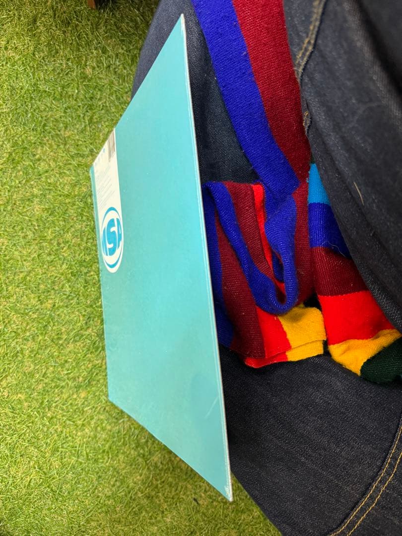 MISIA 2ndシングル 陽のあたる場所 シールド