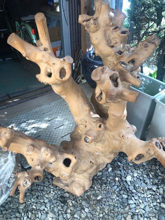 大木の幹　鑑賞用　インテリア　アンティーク　流木　置物　天然木