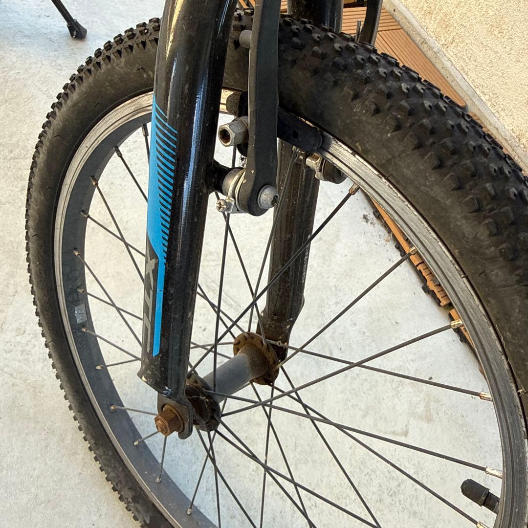 Giant キッズバイク 20インチ 青