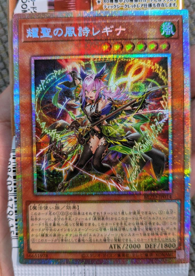 遊戯王 エルフェンノーツ レギナ PSE