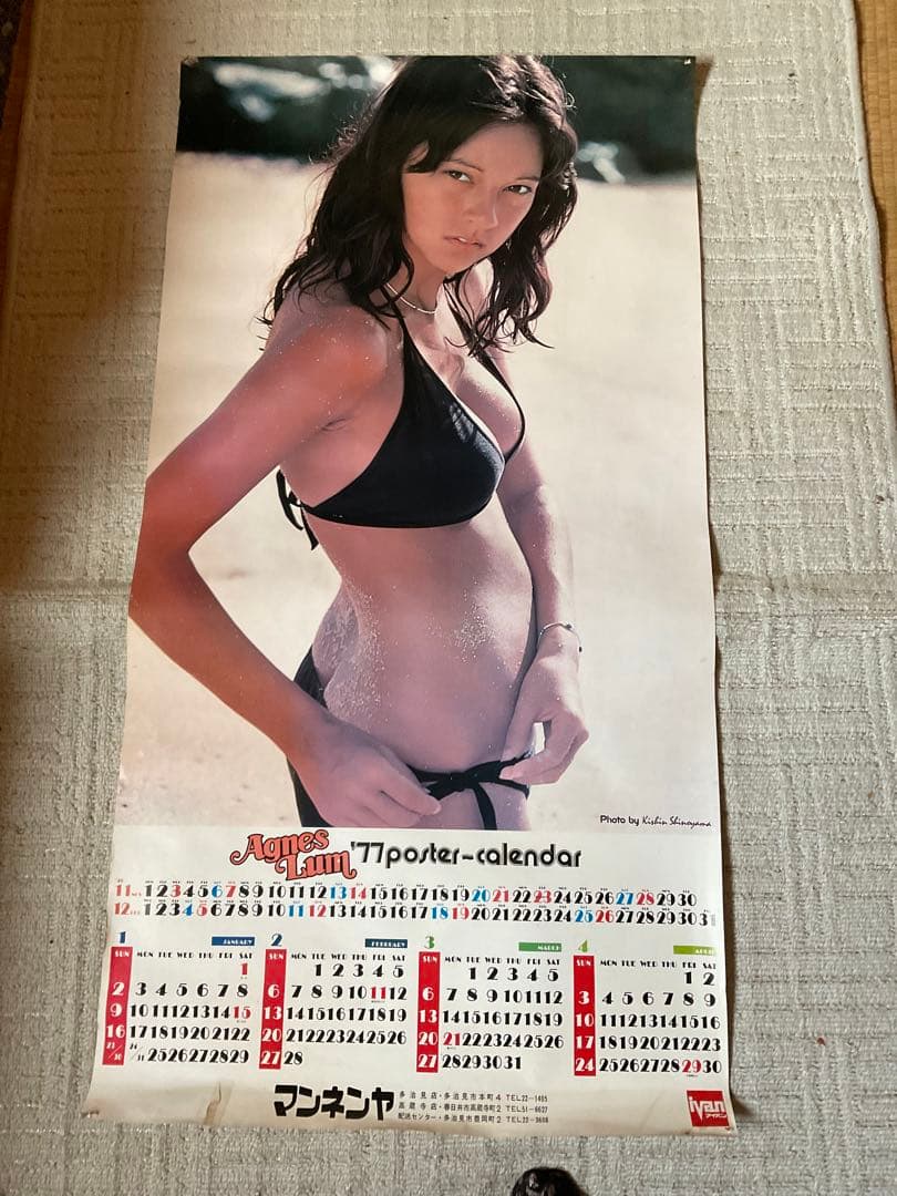 1977年／アグネス・ラムのポスターカレンダー。【画鋲痕と破れ箇所ございます】。