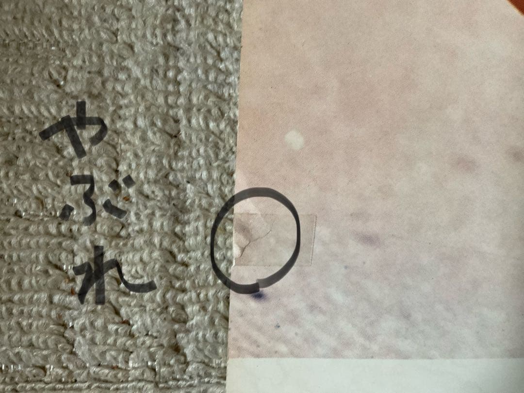 1977年／アグネス・ラムのポスターカレンダー。【画鋲痕と破れ箇所ございます】。