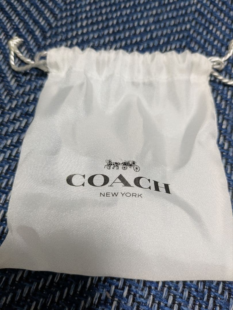 COACH チェリー　さくらんぼ キーホルダー　チャーム