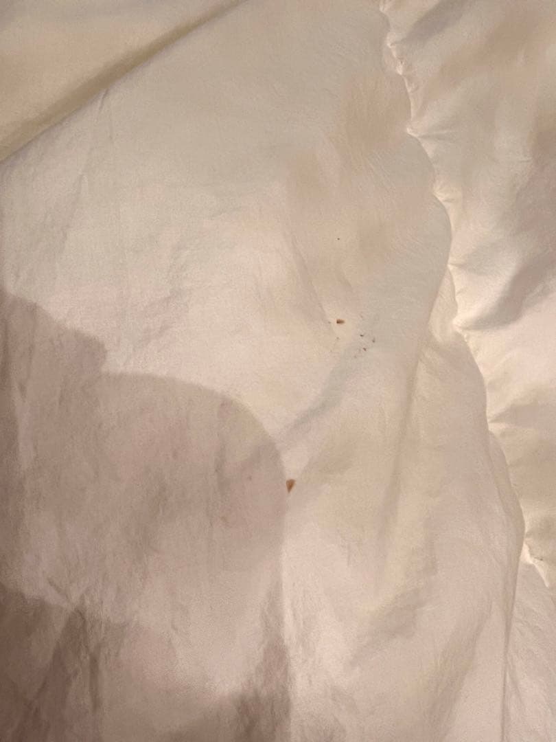 大塚家具 ダウナ ポーランド マザーグース 95% シングル サイズ 1050g