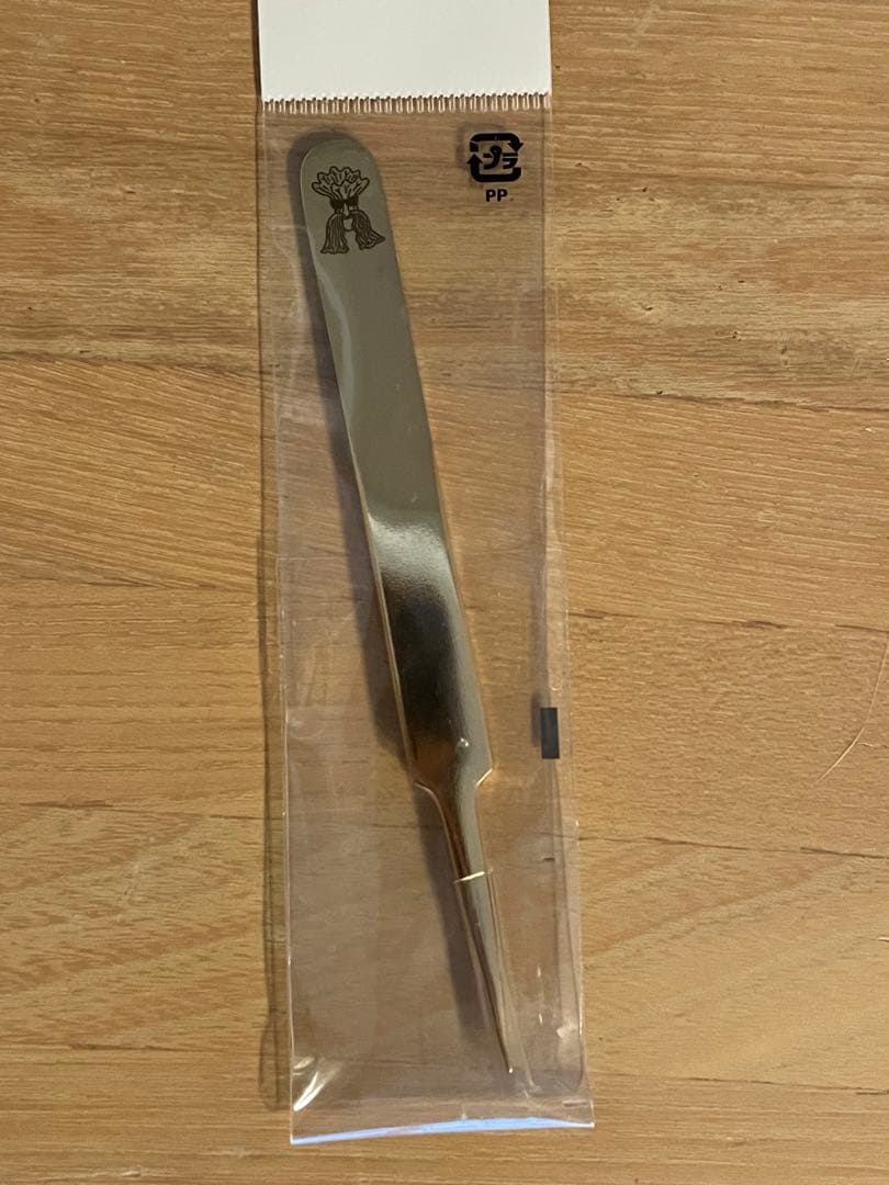 ビカクシダ P.willinckii Goldenboy sporeling