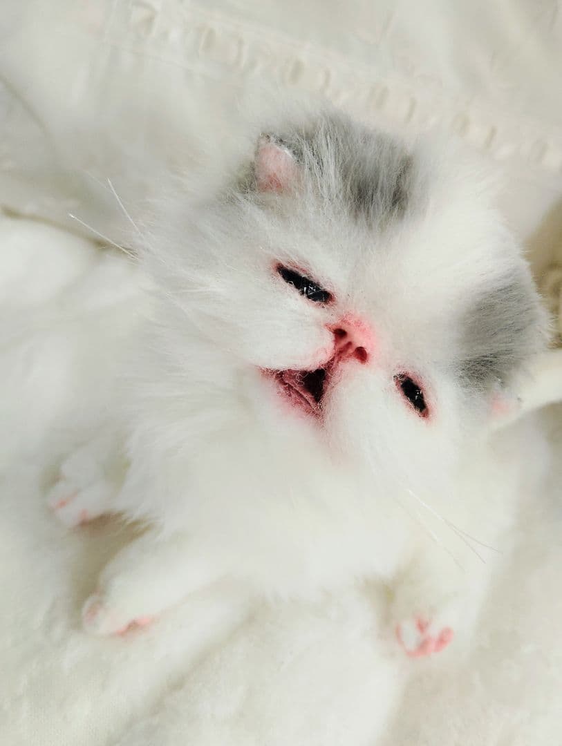 生後２週間♡おっとり♡子猫ちゃん♡アートドール♡ぬいぐるみ♡