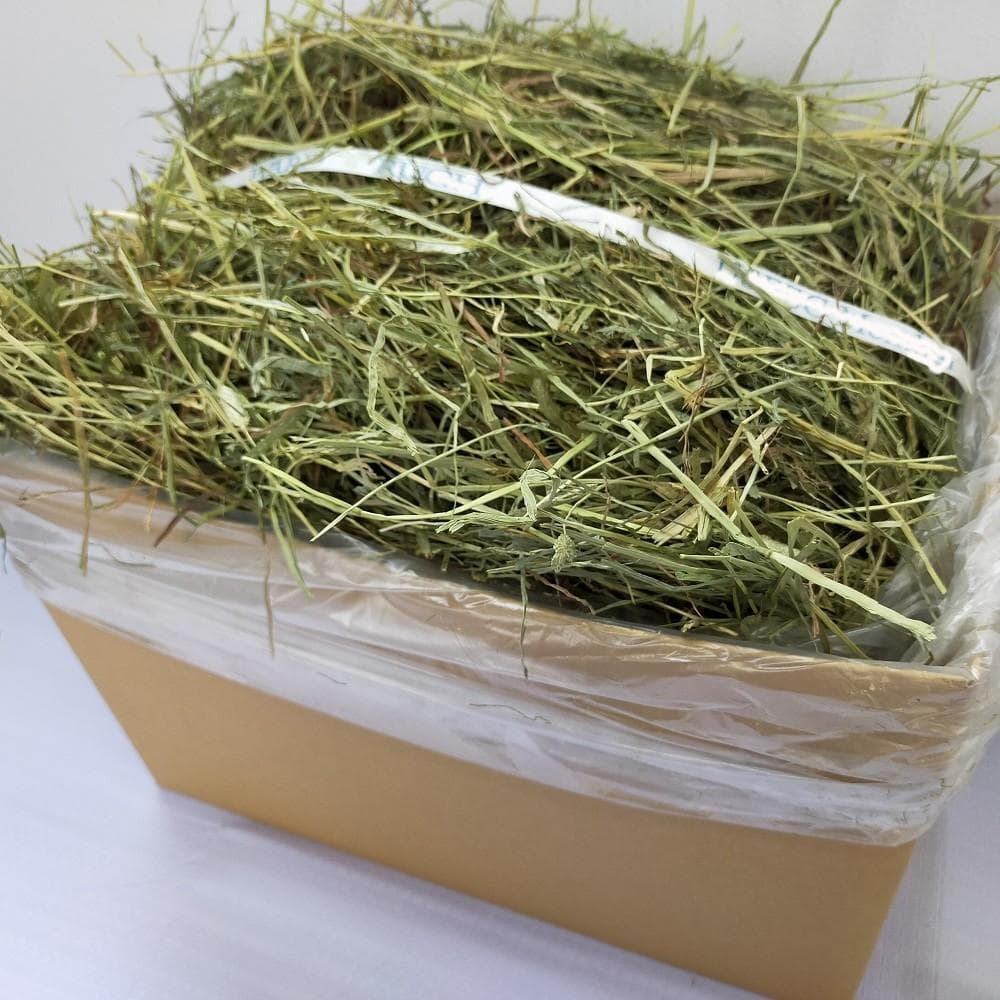 US産 チモシー 120kg ２番刈り ソフトスーパープレミアム