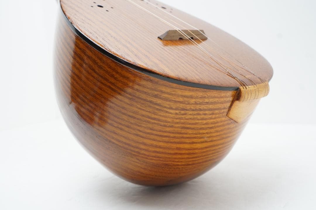 セタール　弦楽器　アジア　民族　リュート系