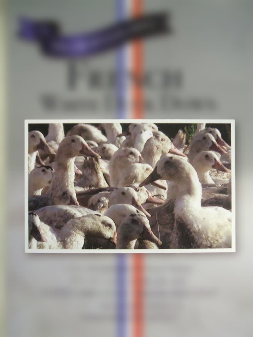 新品＊五ッ星＊ロイヤル＊フランスビックダウン９３％増量１，３キロ＊羽毛布団ＳＢ