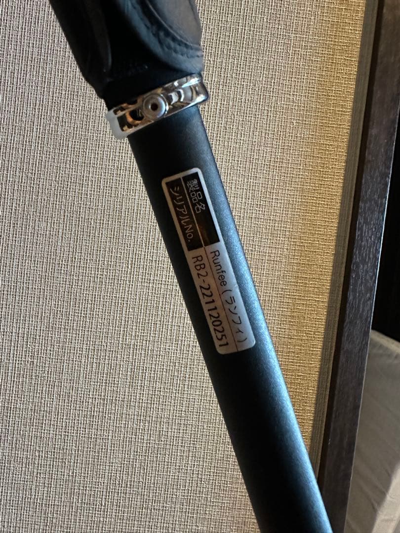 ピジョン　ランフィ　RB2