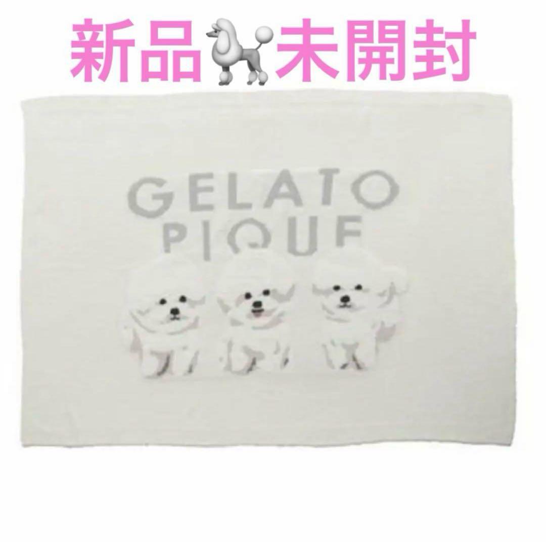 新品 ビションフリーゼ モチーフジャガードブランケット