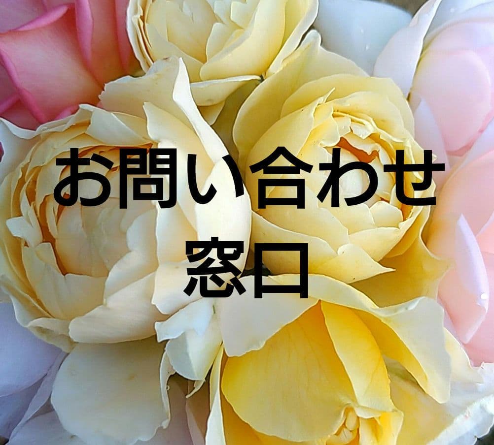 お気軽にお問い合わせください(*^^*)