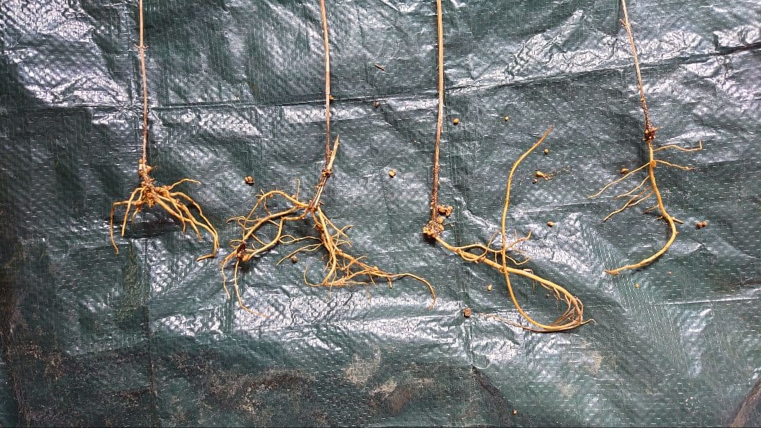 お気軽にお問い合わせください(*^^*)