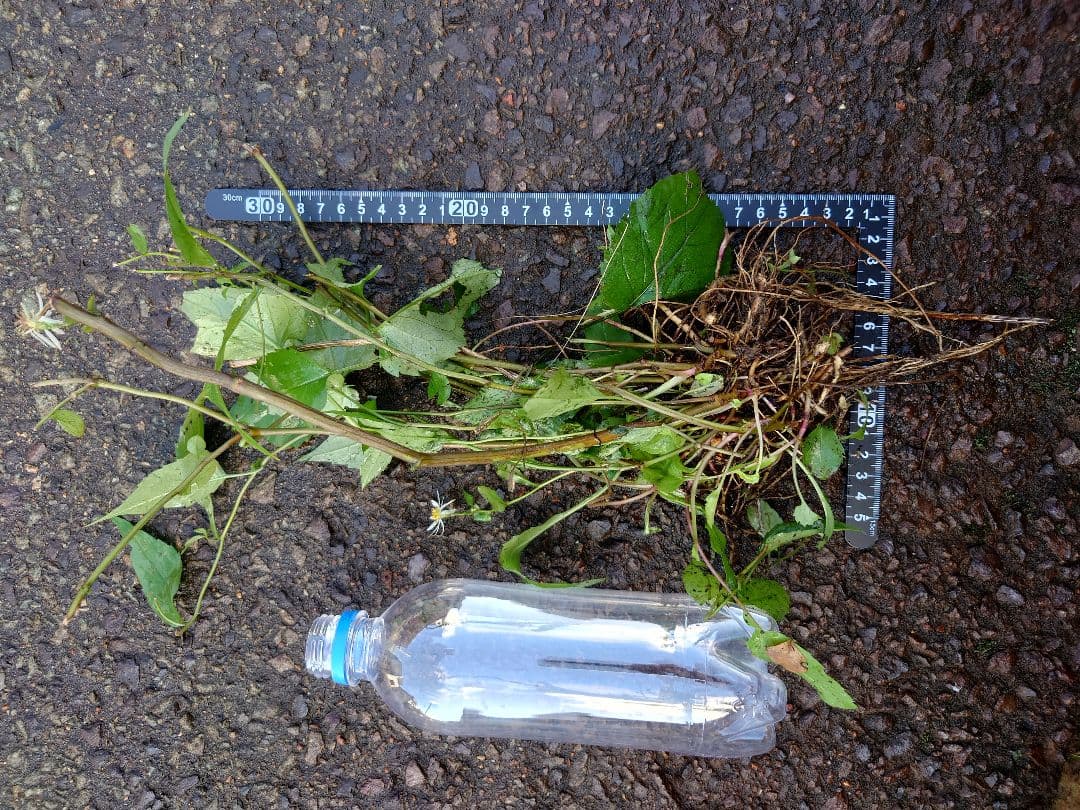 お気軽にお問い合わせください(*^^*)