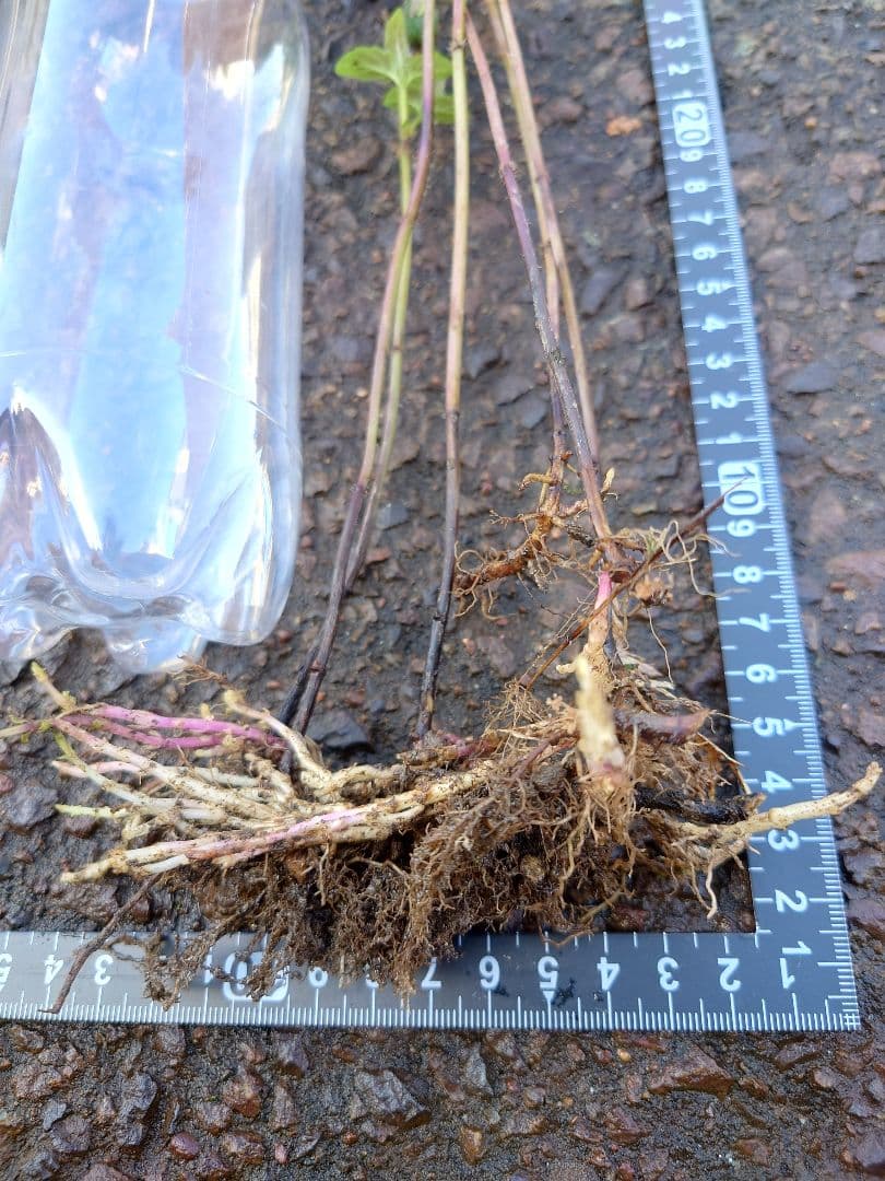 お気軽にお問い合わせください(*^^*)