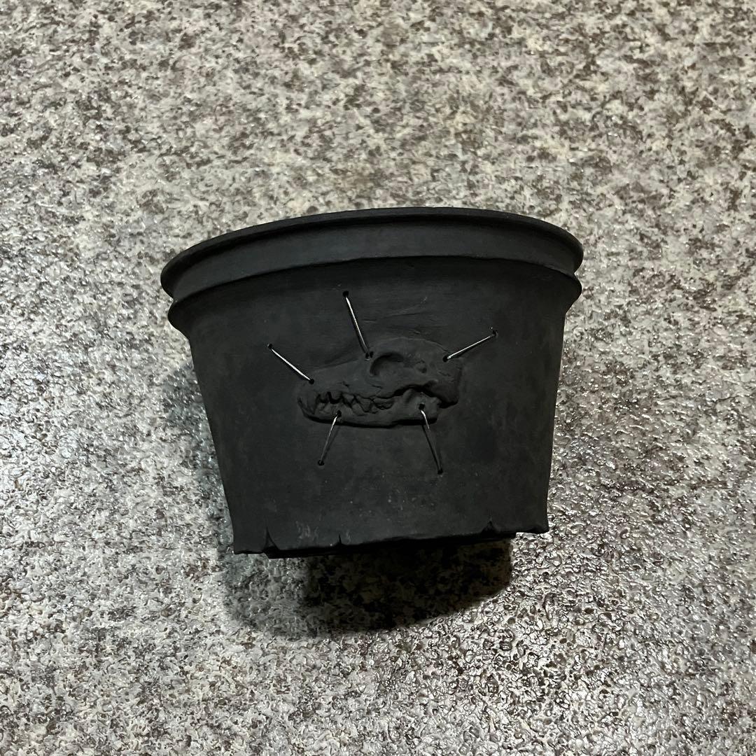 coyote pot 田口潤 植木鉢 鉢