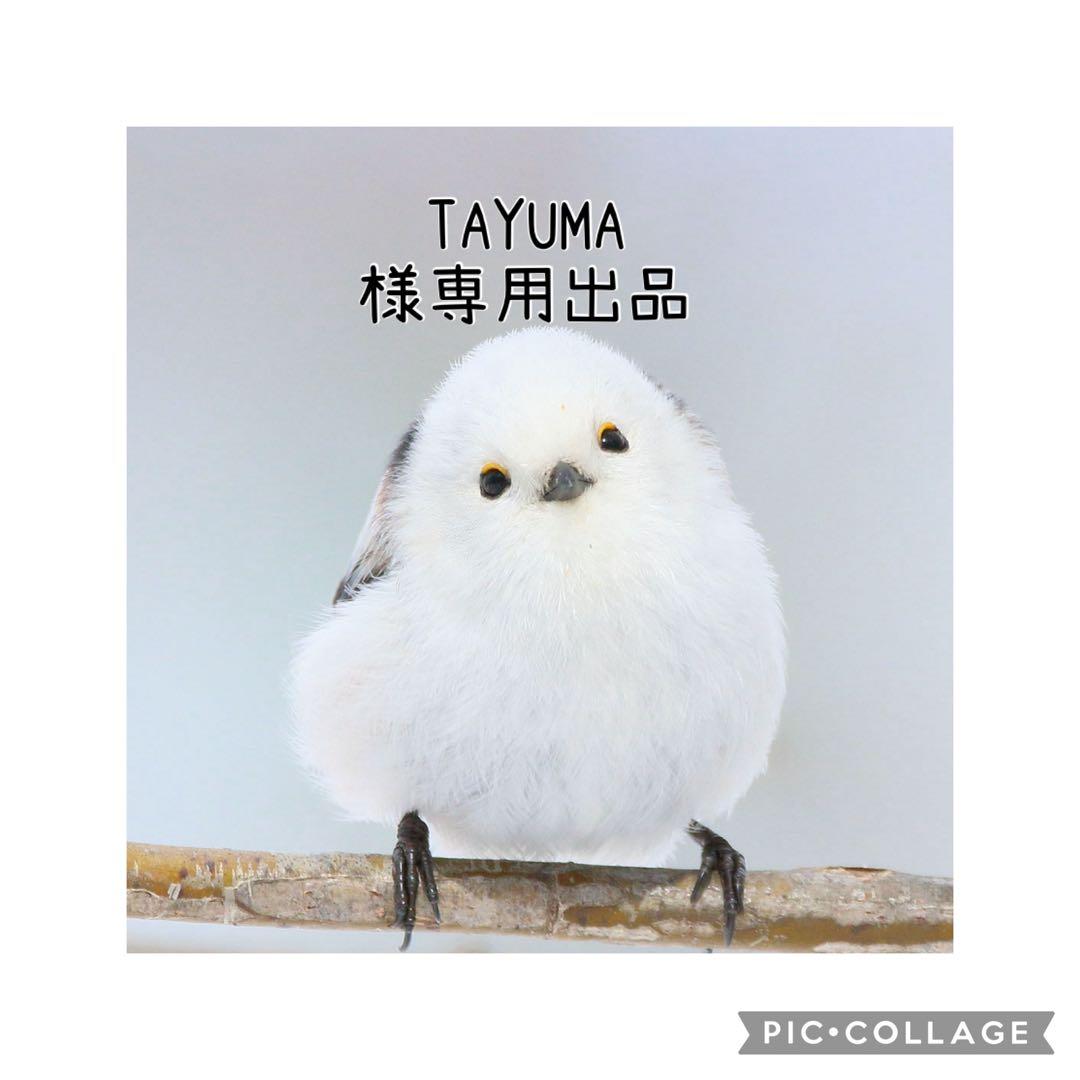 【球根】バーニングフレーム　5球　チューリップ　レア品種　イエロー　フリンジ咲き