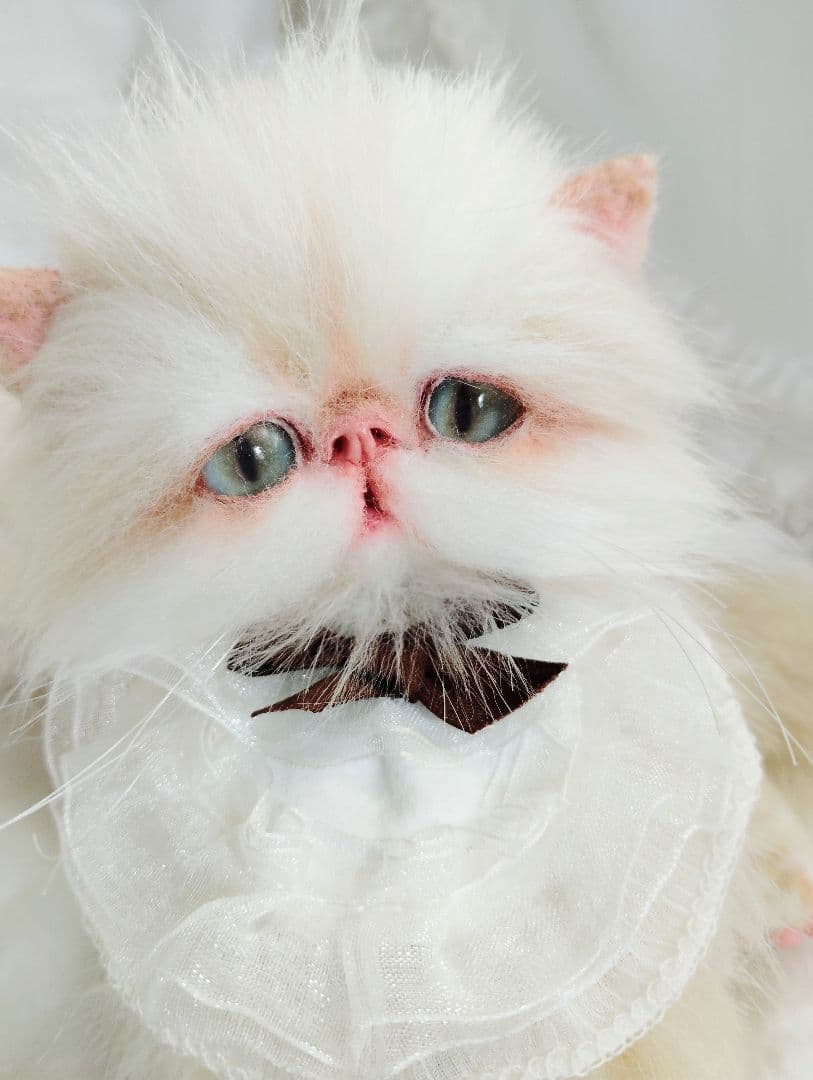 Milky様御予約❤️生後3ヶ月♡綺麗なお顔の♡子猫ちゃん♡アートドール♡