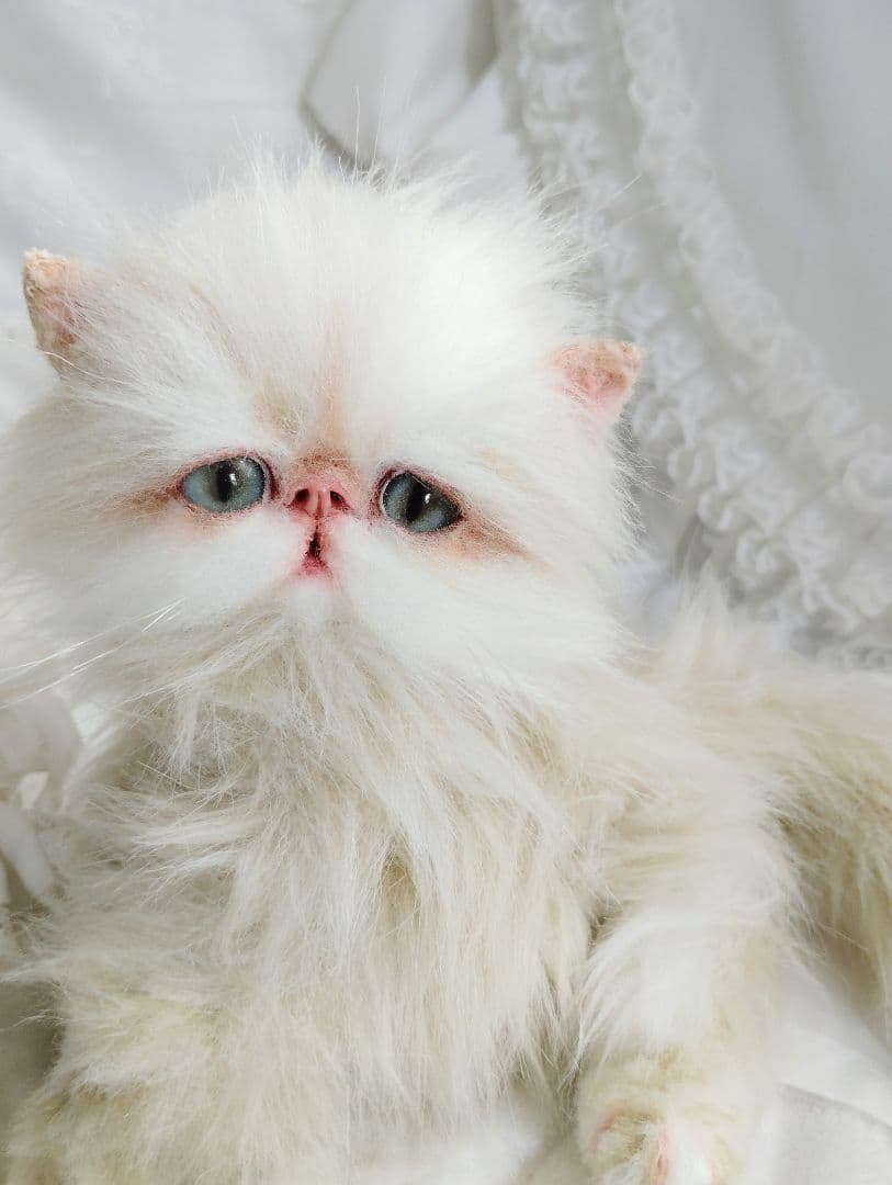 Milky様御予約❤️生後3ヶ月♡綺麗なお顔の♡子猫ちゃん♡アートドール♡