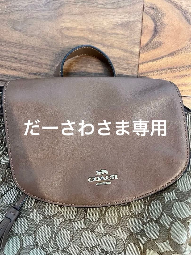 コーチ　F73313 シグネチャー レザー リュック バックパック