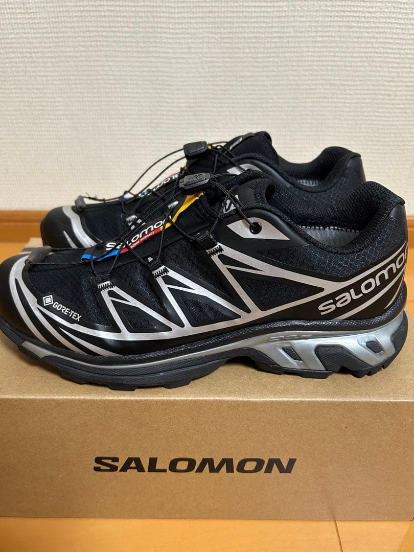 靴 Salomon GORE-TEX XT-6